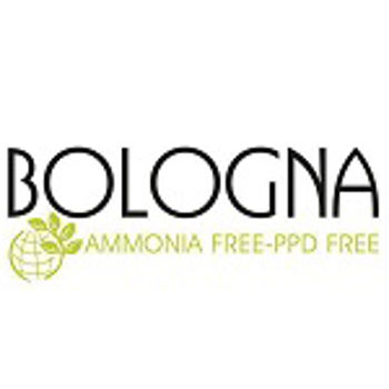 بولونیا - Bologna